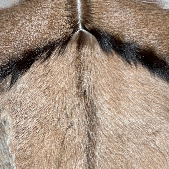 Cassin New York Reversible Fur Suede Vest Sz Med - Picture 5 of 10